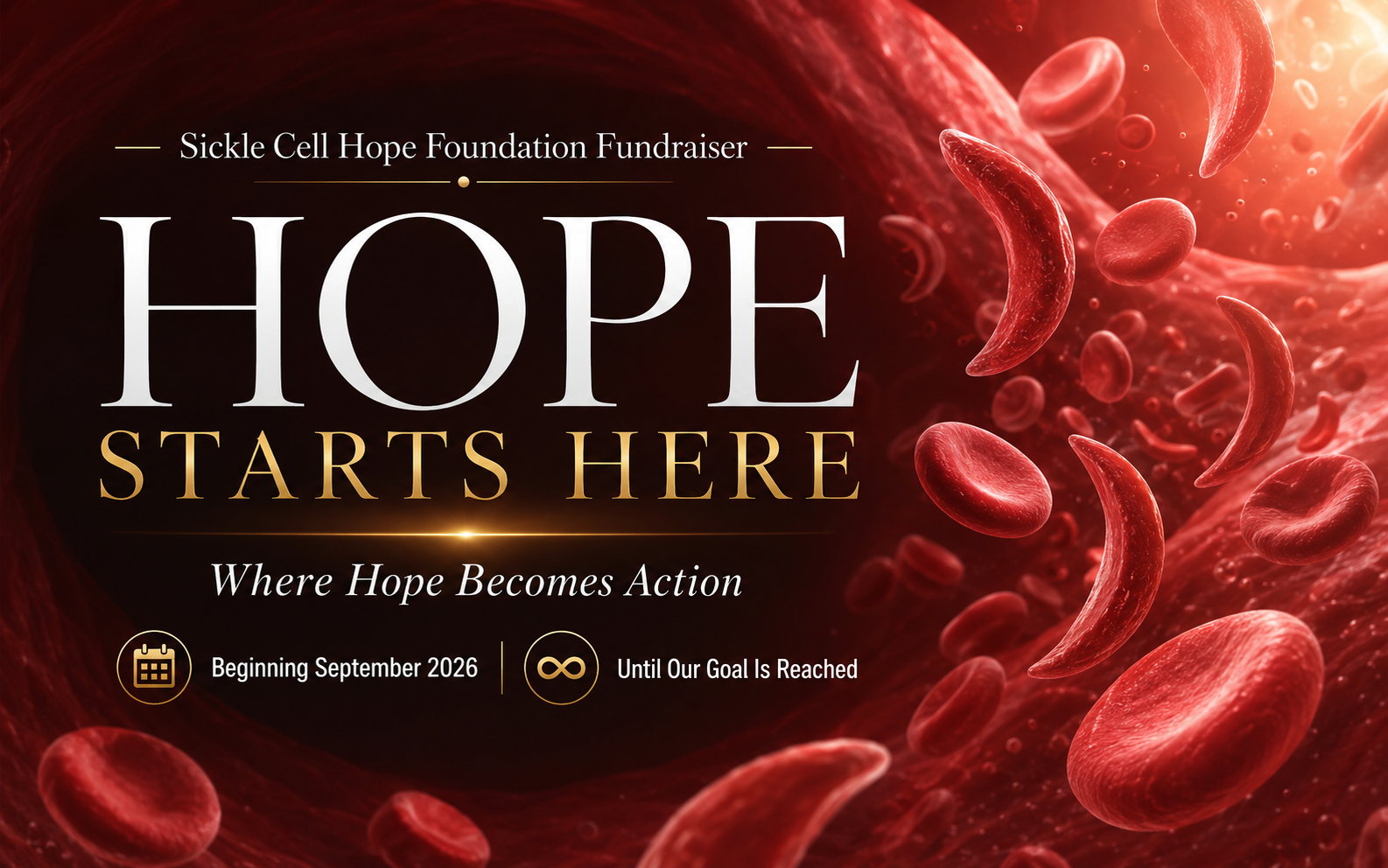 Sickle Cell Hope Foundation Hope Starts Here fundraiser campaign